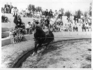 Rapperswil. Knie's Kinderzirkus und Zoo. Reiterin mit Pferd in der Manege