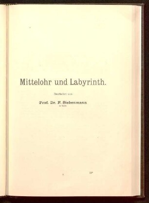 Mittelohr und Labyrinth