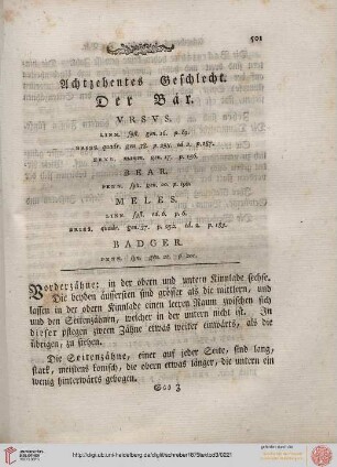 Achtzehentes Geschlecht: Der Bär