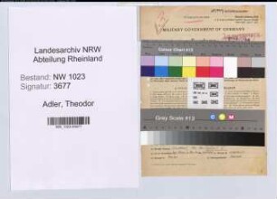 Entnazifizierung Theodor Adler , geb. 09.11.1903 (Kaufmaennischer Angestellter)