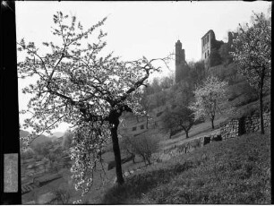 Klosterruine Limburg Landschaftsbild, im Hintergrund befindet sich die Klosterruine Limburg