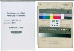 Entnazifizierung Josef Birkmann , geb. 25.09.1902 (Ingenieur)