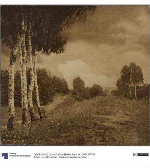 Landschaft mit Birken