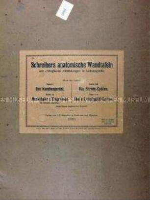 Schreibers anatomische Wandtafeln