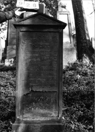 Grabstein 928 (Index: 99804219) Material: Sandstein Zustand: im unteren Drittel stark verwittert Maße HxBxT: 144x61x20 cm Beschreibung: Sockel, Stele mit verdachtem giebeligem Aufsatz Besonderheit: Endreim: Grabstein 928