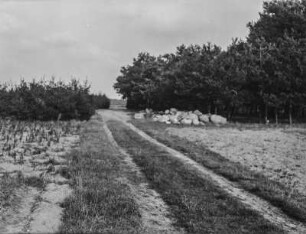 Feldweg : Ein Feldweg