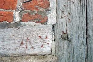 Schönningstedt: ehemaliges Gut Silk: Fachwerkscheune: Detailaufnahme: Zimmermannszeichen an Ständergerüst