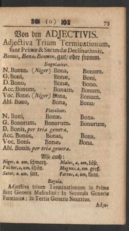 Von den Adjectivis