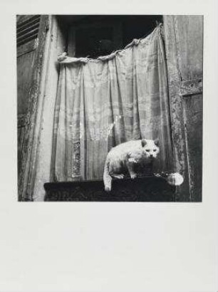 Ohne Titel (Hinterhof, Paris)