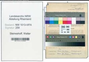 Entnazifizierung Walter Steineshoff , geb. 12.12.1895 (Ste)