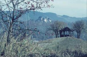 Leutenberg. Blick zur Friedensburg