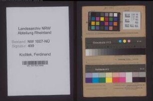 Entnazifizierung Ferdinand Koditek , geb. 29.07.1891 (Architekt)