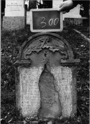 Grabstein 300 (Index: 100090200) Material: Sandstein Zustand: abgeblätt/verwitt/mit Textverlust Maße HxBxT: 65x50x12 cm Beschreibung: Stele, eingezogener Rundbogenabschluß, Schriftfeld eingetieft Symbolik: Ranken: Grabstein 300