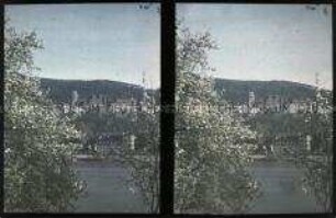 Blick über den Neckar auf das Schloss von Heidelberg
