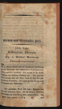 Sieben und Vierzigster Heft.