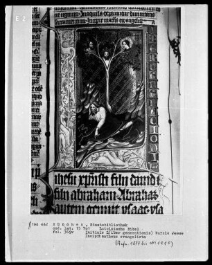 Lateinische Bibel — Initiale L (iber generationis) mit einer Wurzel Jesse, Folio 369verso