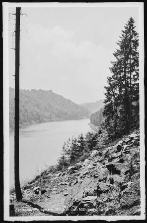 Kriebstein. Talsperre, Blick in den Mühlengrund