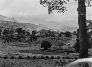 Die Uluguru-Berge : Ausläufer der Uluguru-Berge
