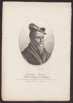 Belon, Pierre