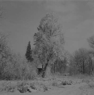 Stralsund. Winterlandschaft