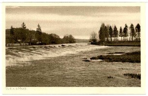 Nr. 239m: Dun a.d. Maas. Blick auf die Maas.