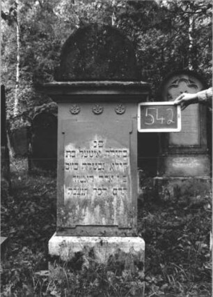 Grabstein 542 (Index: 99895450) Material: Sandstein Zustand: gut Maße HxBxT: 158x60x24 cm Beschreibung: Stele mit Rundbogenaufsatz; Sockel Symbolik: Palmette: Grabstein 542