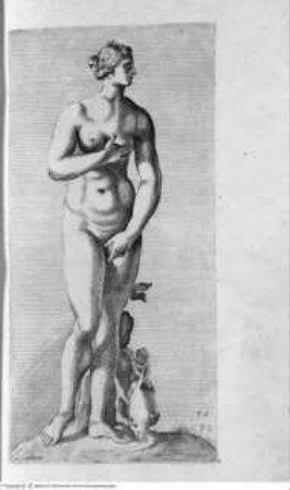 Segmenta nobilium signorum e[t] statuaru[m], quae temporis dentem invidium evasere, urbis aeternae ruinis erepta typis aeneis ab ce commissa perpetuae venerationis monumentum. (Romae) 1638 (1653)Tafel 82: Venus Aphrodotis - Illmo. D. D. Rogerio Duplesseis Dño. de Liancourt Marchioni de Montfort, comiti de la Rocheguion E.a. ... [Icones et] segmenta nobilium signorum et statuarum quae temporis dentem invidium evasere urbis aeternae ruinis erepta typis aeneis ab ce comissa perpetuae venerationis monumentum