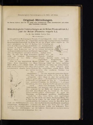 Blütenbiologische Untersuchungen an der Erbse (Pisum sativum L.) [und der Bohne (Phaseolus vulvaris L.)].
