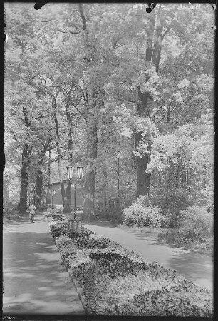 Riesa. Stadtpark