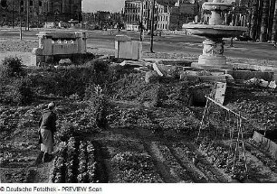 Berlin. Gemüsebeete an der zerstörten südlichen Springbrunnenanlage am Hindenburgplatz (mit unterirdischem Zugang)