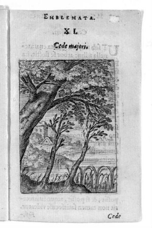 XI. Cede majori.