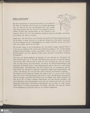 Zellstoff