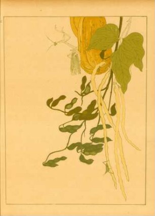 FI [Fruits et insectes, par Outamaro]