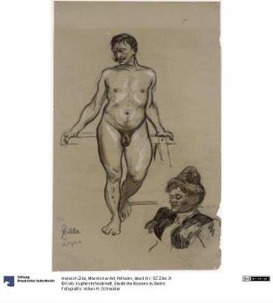 Männlicher Akt, Wilhelm