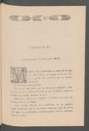 Capítulo XII - Una esperanza de una nueva dicha