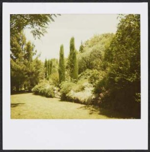 Garten in Puy-Saint-Martin