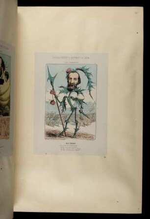 Fleurs, fruits et légumes du jour. Le chardon