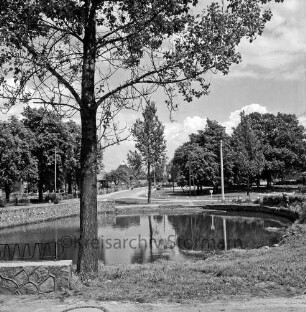 Dorfstraße: Dorfteich: vorn rechts Baum: vorn links Mäuerchen und Geländer: hinten Bäume und Häuser