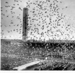 Brieftauben verkünden den Beginn der Olympischen Spiele 1952 in Helsinki