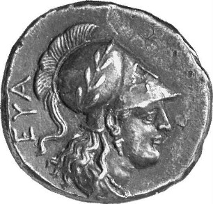 Salamis