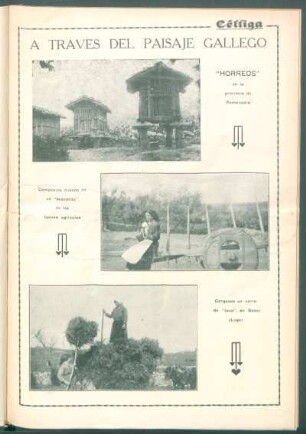 "Hórreos" en la provincia de Pontevedra [Fotografía]
