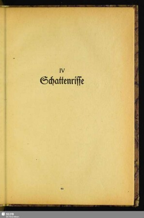 IV. Schattenrisse