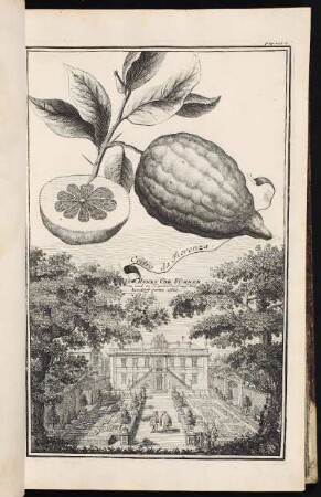 p. 124a In Herrn Chr. Führer von und zu Heymendorff auff Wolkersdorff garten allhie. - Fürer von Haimdendorf (Familie), Garten, Rennweg, Nürnberg- Gärten bei Wöhrd