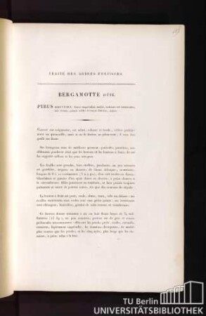 Traité des arbres fruitiers. Bergamotte d'été. Pyrus beuveria, fructu magnitudinis mediae, turbinato vel subdeltoideo, latè virente, punctis viridis fulvisque distincto, aestivo.