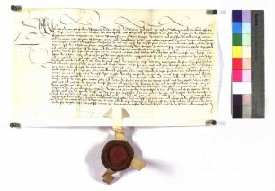 Mittwoch vor Antonius; Pfalzgraf Alexander verschreibt seiner Gemahlin als Morgengabe 100 fl auf Stadt und Kellerei Wiesenloch.
