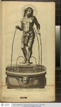 Fons Vitae