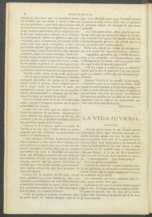 La vida juvenil