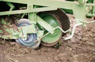 Fotografie: Kartoffel, Rodelader, Rodeorgan, Erntetechnik