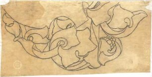 Reiffenstuel, Michael; Ornamentzeichnungen - Blattornament (Detail)