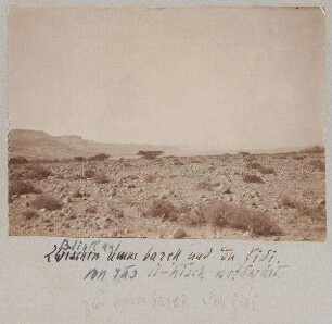 Blick auf umm barek und 'en gidi [En-Gedi] von ras el-hisch nordwärts.